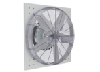PF 36 AE20 Guard 243