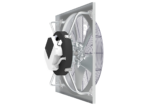 PF 36 AE20 Gaurd Back