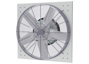 PF 36 AE20 Guard 241